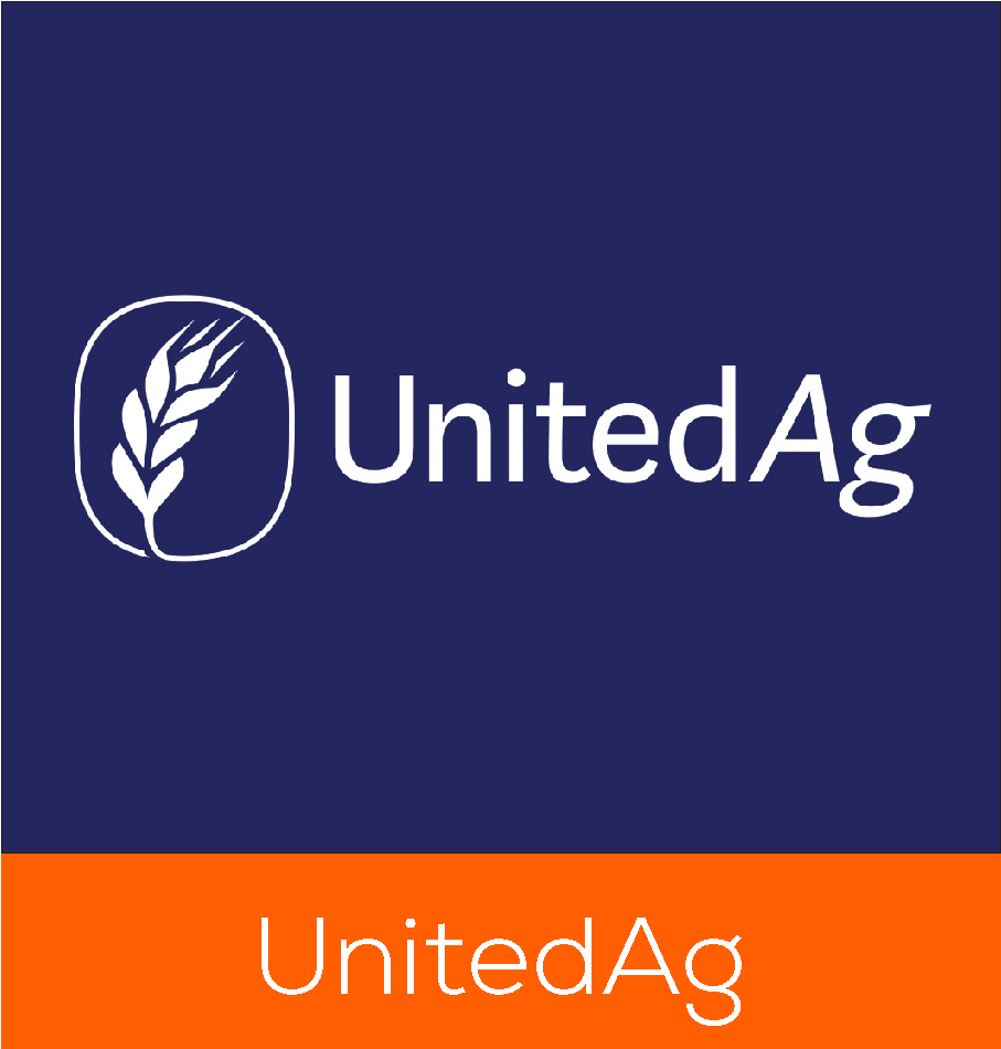 sponsored google ads