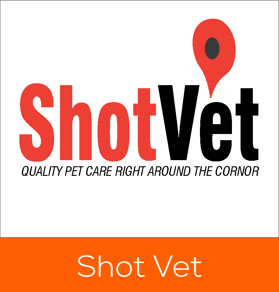 digital marketing strategy