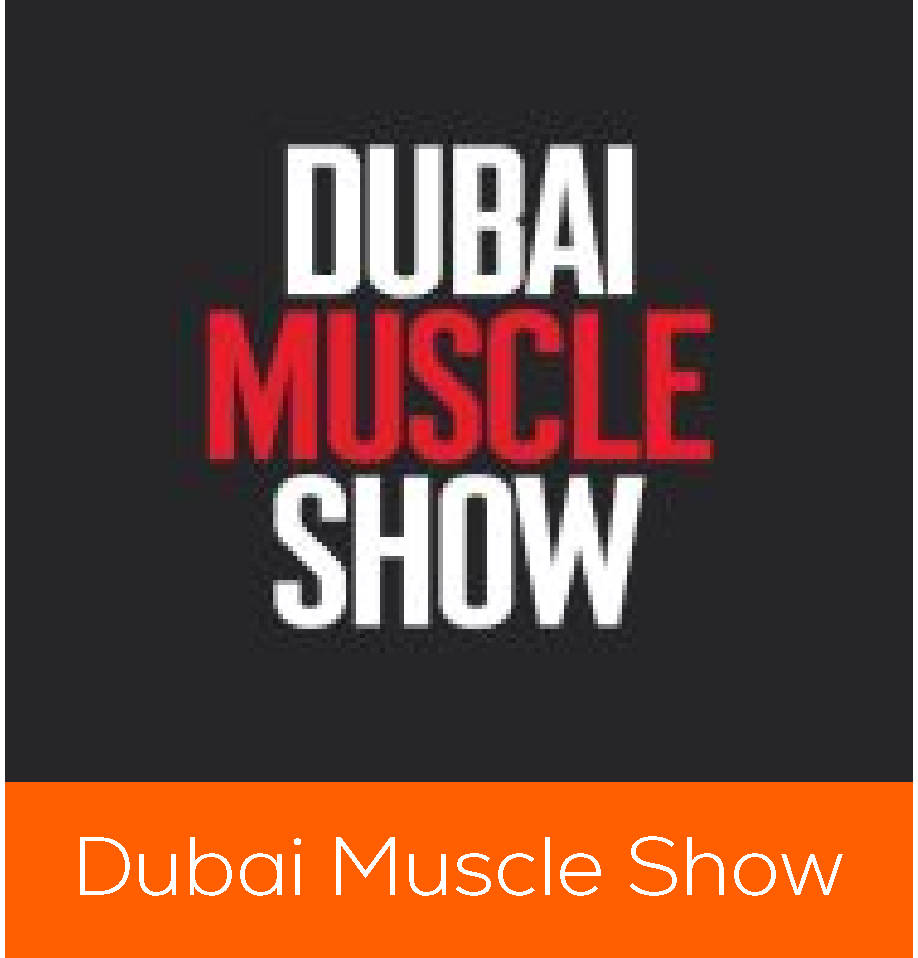 website automation services