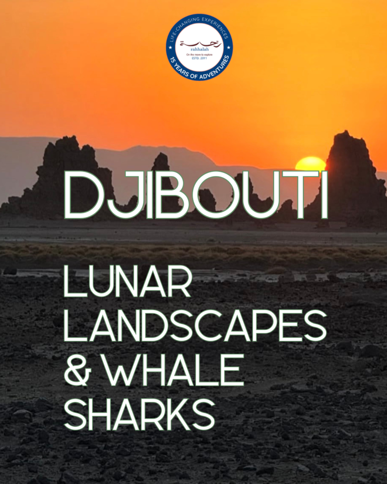 Digital marketing services