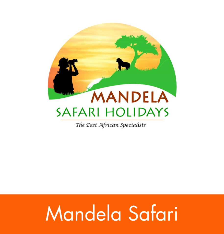 Mandela-safari-holidyas-ads