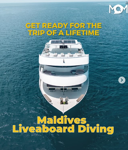 Mad Over Maldives travel leads growth results chart