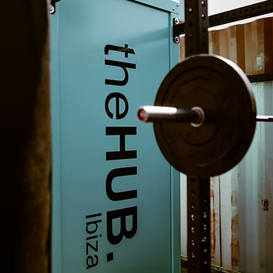 The Hub Ibiza coworking space lead generation results