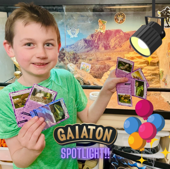 Gaiaton trading card Kickstarter campaign revenue results
