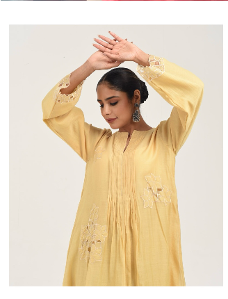 Ekadi Indian fashion brand ROAS growth chart