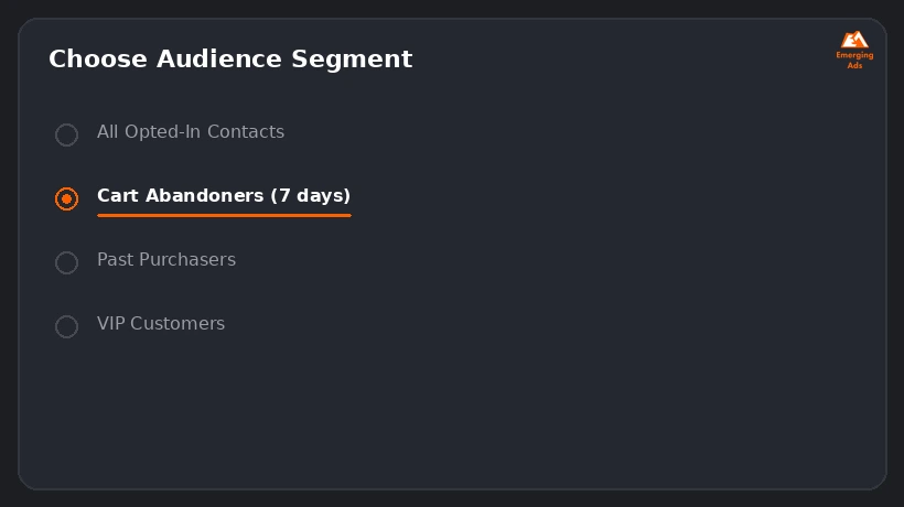 Screenshot showing an example step from the What is WhatsApp broadcast campaigns and how does it work process, audience segment selection